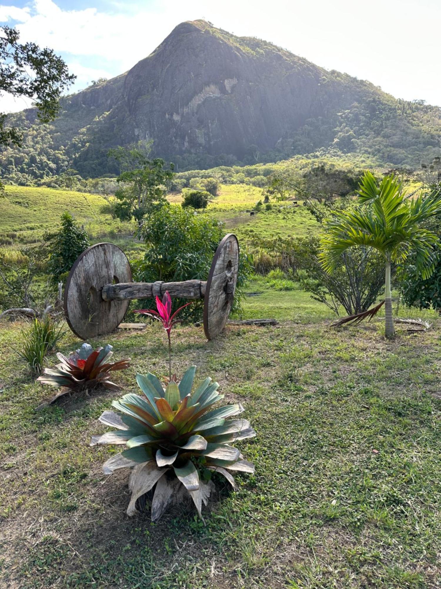 Sitio Recanto Dos Passaros Sao Fidelis  Экстерьер фото